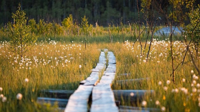 Psykologi, psykoterapeutti vai psykiatri – kenen puoleen kääntyä?