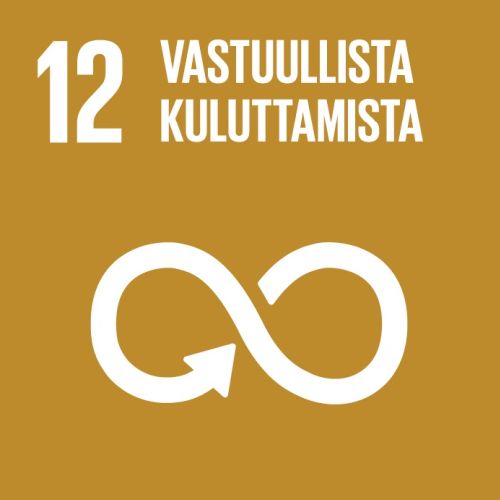 Vastuullista_kuluttamista12 500x500.jpg